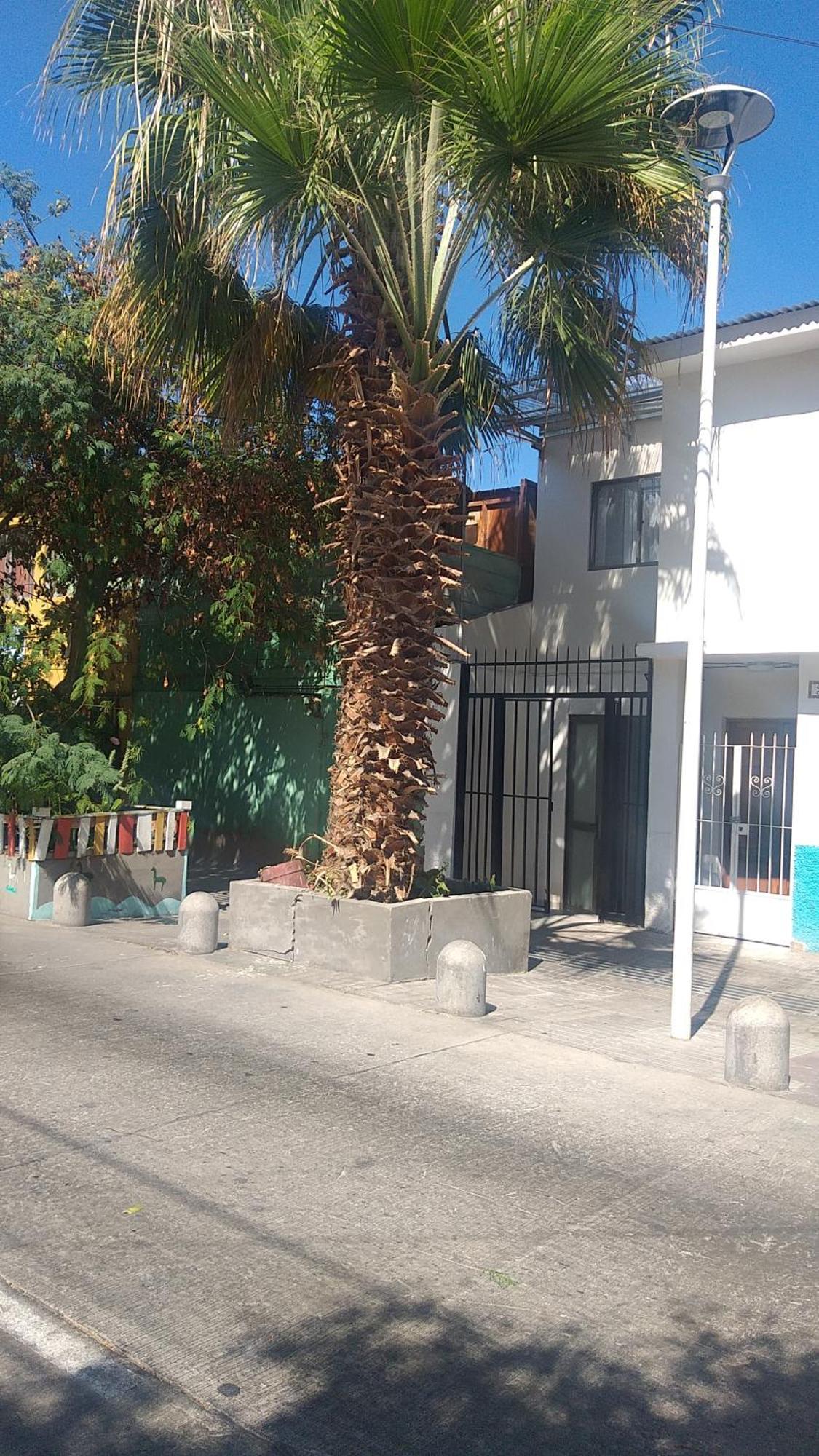 Hostal La Ruca Antofagasta Exterior foto
